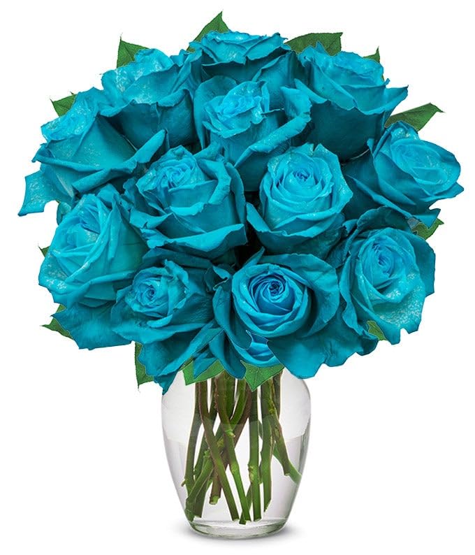 Vibrant Teal Roses with Gift Vase