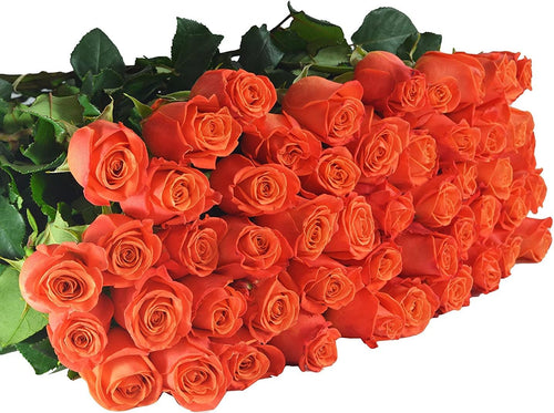 Vibrant Farm-Fresh Orange Rose Bouquet