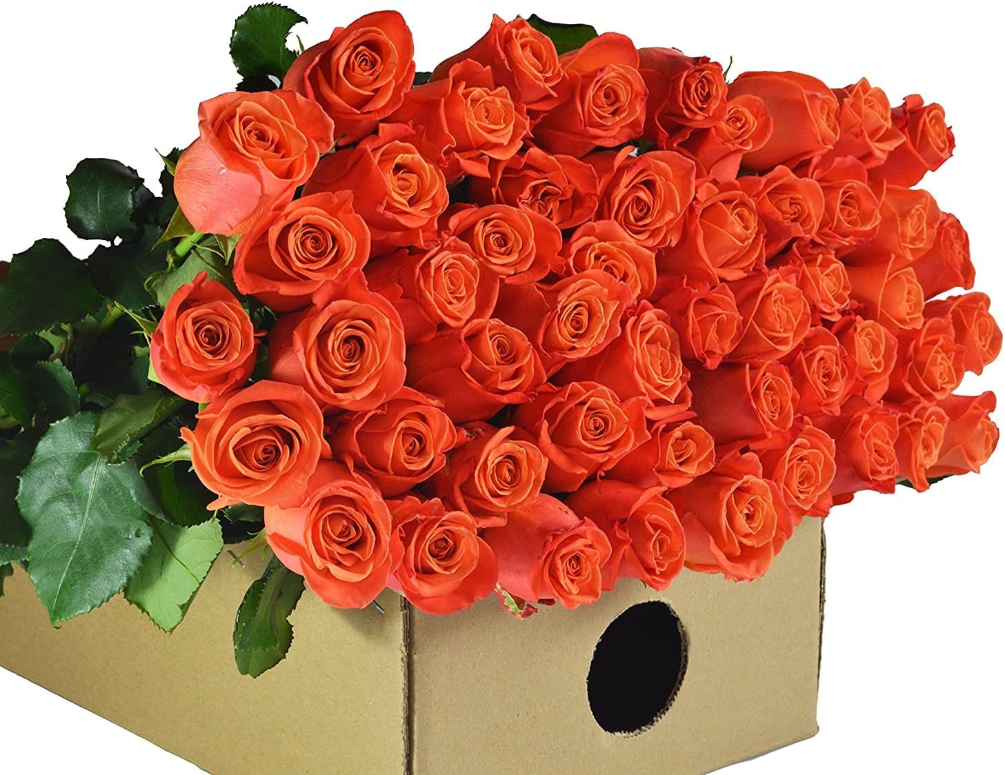 Vibrant Farm-Fresh Orange Rose Bouquet