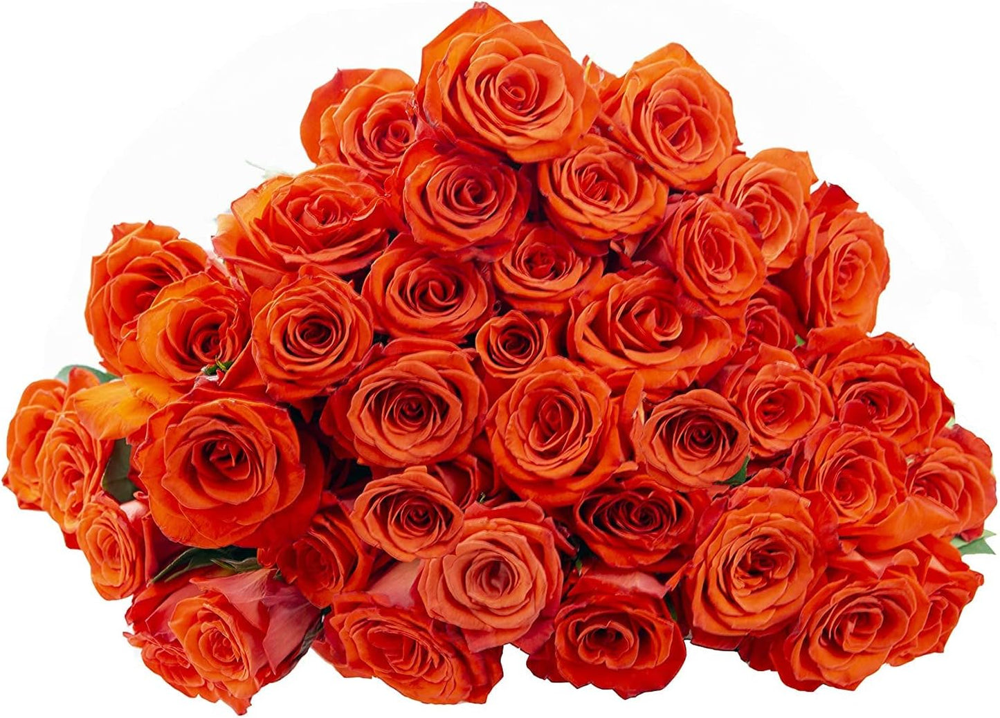 Vibrant Farm-Fresh Orange Rose Bouquet